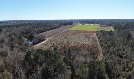 Photo #11 of Off Hwy 308, Galivant's Ferry, SC 102.0 acres