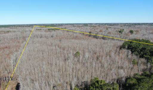 Photo #12 of Off Hwy 308, Galivant's Ferry, SC 102.0 acres