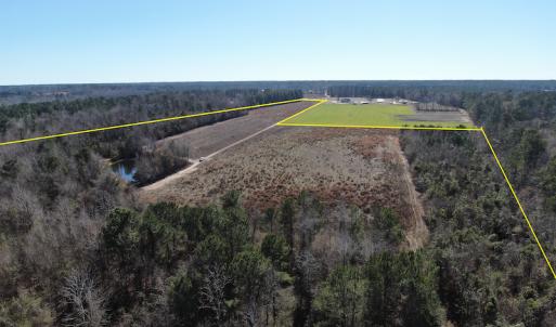 Photo #13 of Off Hwy 308, Galivant's Ferry, SC 102.0 acres