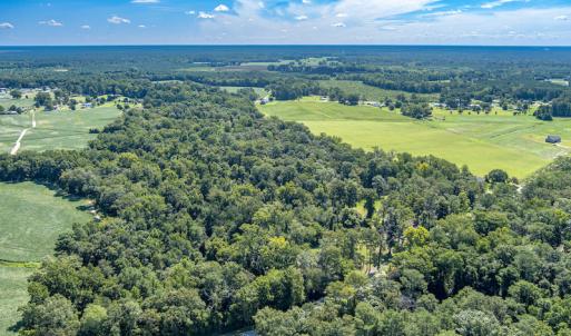 Photo #15 of SOLD property in Off Henderson Road  , Trenton, NC 31.5 acres