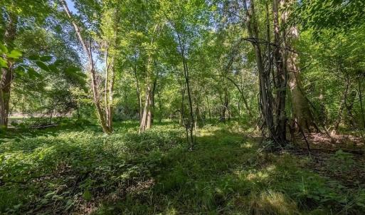 Photo #19 of SOLD property in Off Henderson Road  , Trenton, NC 31.5 acres