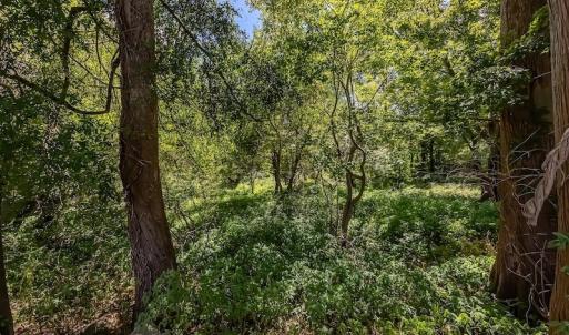 Photo #25 of SOLD property in Off Henderson Road  , Trenton, NC 31.5 acres