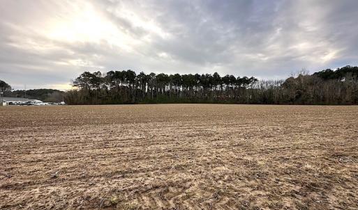 Photo #14 of SOLD property in Off Franktown Rd , Franktown, VA 10.0 acres