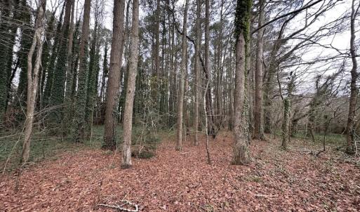 Photo #20 of SOLD property in Off Franktown Rd , Franktown, VA 10.0 acres