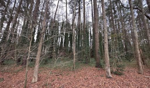 Photo #21 of SOLD property in Off Franktown Rd , Franktown, VA 10.0 acres