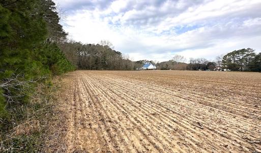 Photo #22 of SOLD property in Off Franktown Rd , Franktown, VA 10.0 acres