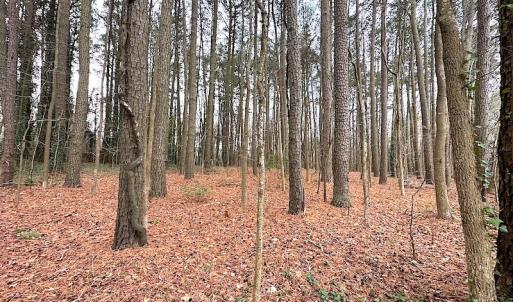 Photo #24 of SOLD property in Off Franktown Rd , Franktown, VA 10.0 acres