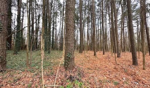 Photo #25 of SOLD property in Off Franktown Rd , Franktown, VA 10.0 acres