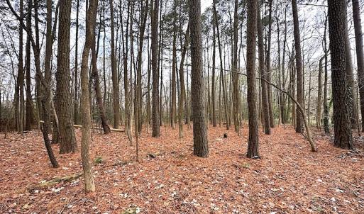 Photo #26 of SOLD property in Off Franktown Rd , Franktown, VA 10.0 acres