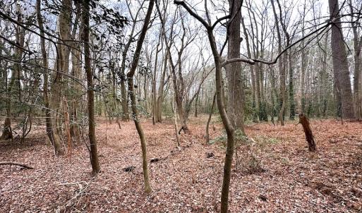 Photo #28 of SOLD property in Off Franktown Rd , Franktown, VA 10.0 acres