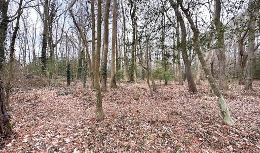 Photo #29 of SOLD property in Off Franktown Rd , Franktown, VA 10.0 acres