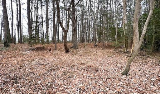 Photo #30 of SOLD property in Off Franktown Rd , Franktown, VA 10.0 acres