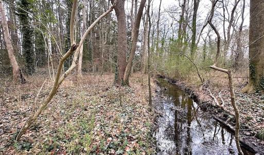 Photo #31 of SOLD property in Off Franktown Rd , Franktown, VA 10.0 acres