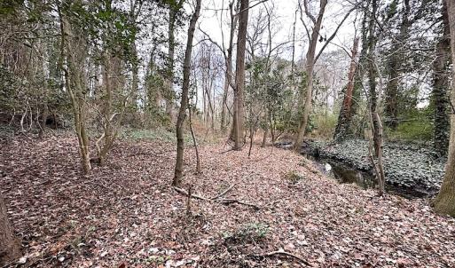 Photo #32 of SOLD property in Off Franktown Rd , Franktown, VA 10.0 acres