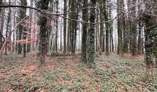 Photo #33 of SOLD property in Off Franktown Rd , Franktown, VA 10.0 acres