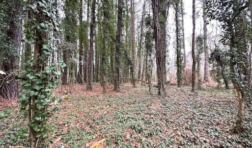 Photo #35 of SOLD property in Off Franktown Rd , Franktown, VA 10.0 acres