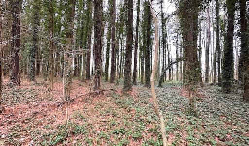 Photo #36 of SOLD property in Off Franktown Rd , Franktown, VA 10.0 acres