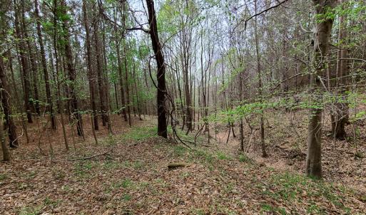 Photo #5 of Off Walnut Creek Lane , Danville, VA 126.0 acres