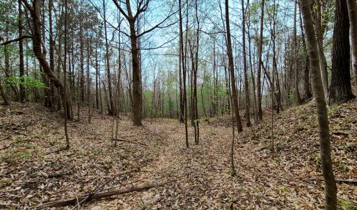 Photo #7 of Off Walnut Creek Lane , Danville, VA 126.0 acres