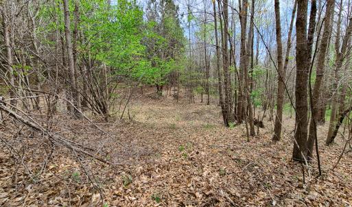 Photo #8 of Off Walnut Creek Lane , Danville, VA 126.0 acres