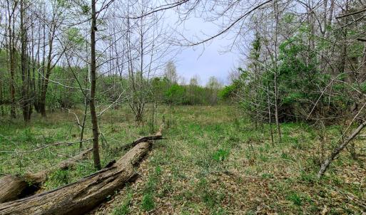 Photo #9 of Off Walnut Creek Lane , Danville, VA 126.0 acres