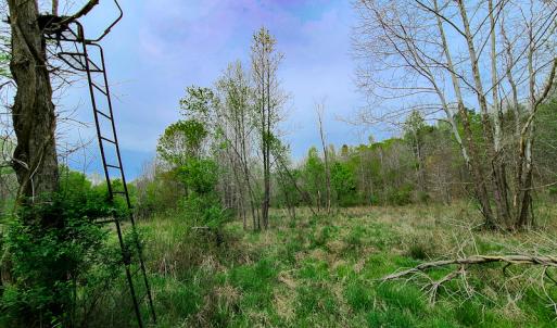 Photo #11 of Off Walnut Creek Lane , Danville, VA 126.0 acres