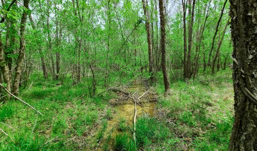 Photo #15 of Off Walnut Creek Lane , Danville, VA 126.0 acres