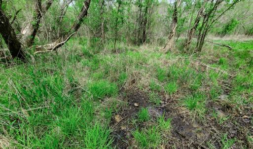 Photo #16 of Off Walnut Creek Lane , Danville, VA 126.0 acres