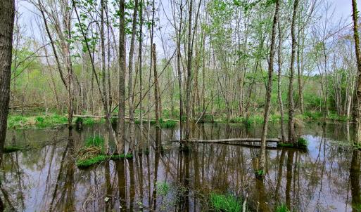 Photo #20 of Off Walnut Creek Lane , Danville, VA 126.0 acres