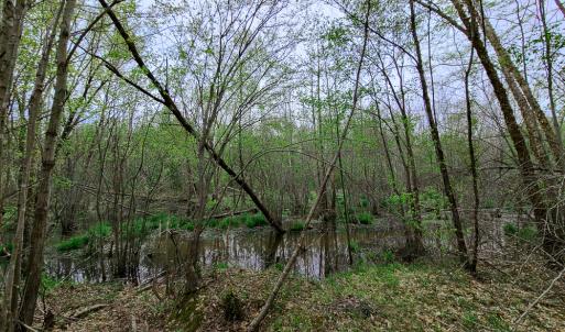 Photo #25 of Off Walnut Creek Lane , Danville, VA 126.0 acres