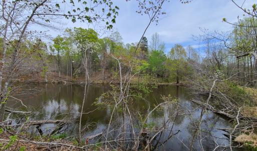 Photo #27 of Off Walnut Creek Lane , Danville, VA 126.0 acres