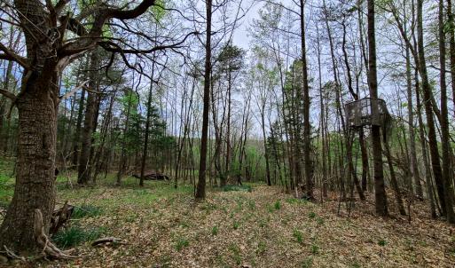 Photo #34 of Off Walnut Creek Lane , Danville, VA 126.0 acres