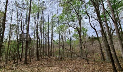 Photo #35 of Off Walnut Creek Lane , Danville, VA 126.0 acres