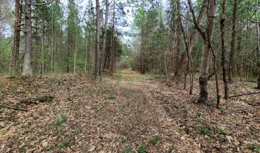 Photo #36 of Off Walnut Creek Lane , Danville, VA 126.0 acres