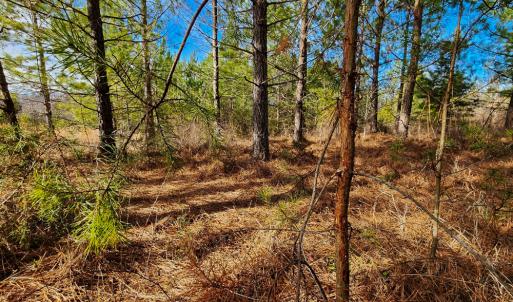 Photo #39 of Off Walnut Creek Lane , Danville, VA 126.0 acres