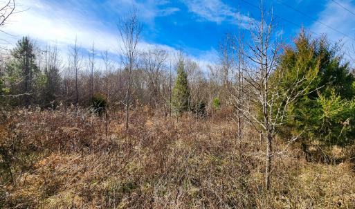 Photo #40 of Off Walnut Creek Lane , Danville, VA 126.0 acres