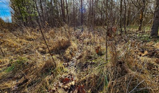 Photo #42 of Off Walnut Creek Lane , Danville, VA 126.0 acres