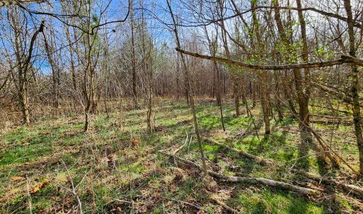 Photo #43 of Off Walnut Creek Lane , Danville, VA 126.0 acres