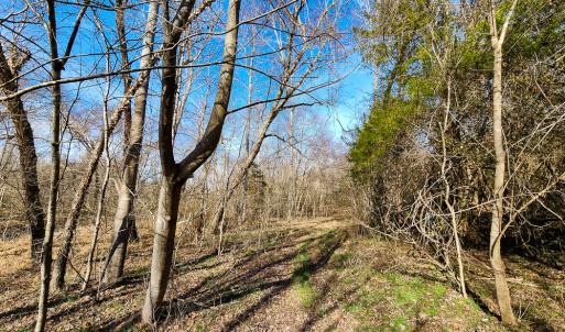 Photo #51 of Off Walnut Creek Lane , Danville, VA 126.0 acres