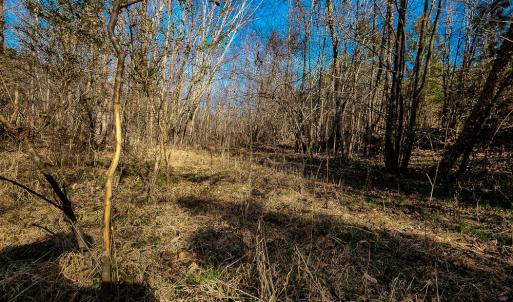 Photo #54 of Off Walnut Creek Lane , Danville, VA 126.0 acres