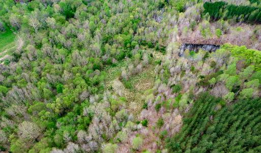 Photo #56 of Off Walnut Creek Lane , Danville, VA 126.0 acres