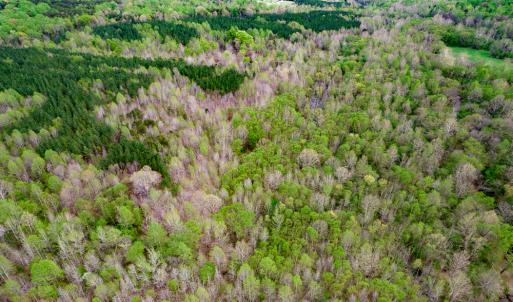Photo #70 of Off Walnut Creek Lane , Danville, VA 126.0 acres