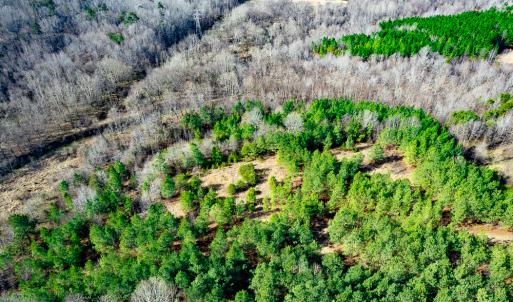 Photo #75 of Off Walnut Creek Lane , Danville, VA 126.0 acres