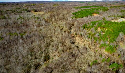 Photo #76 of Off Walnut Creek Lane , Danville, VA 126.0 acres