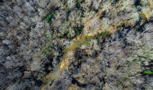 Photo #77 of Off Walnut Creek Lane , Danville, VA 126.0 acres