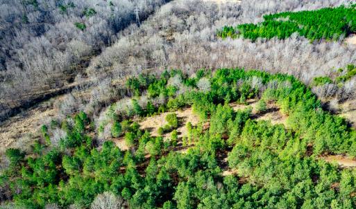 Photo #3 of SOLD property in Off Azalea Lane , Danville, VA 33.0 acres
