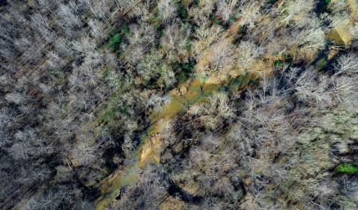 Photo #4 of SOLD property in Off Azalea Lane , Danville, VA 33.0 acres