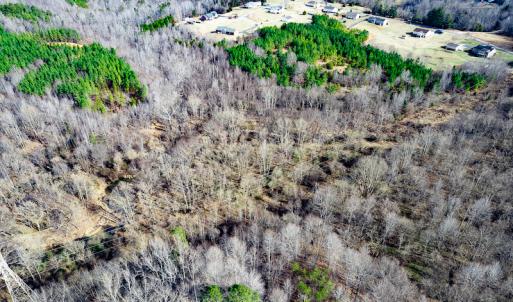 Photo #5 of SOLD property in Off Azalea Lane , Danville, VA 33.0 acres
