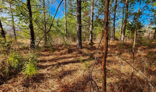 Photo #8 of SOLD property in Off Azalea Lane , Danville, VA 33.0 acres