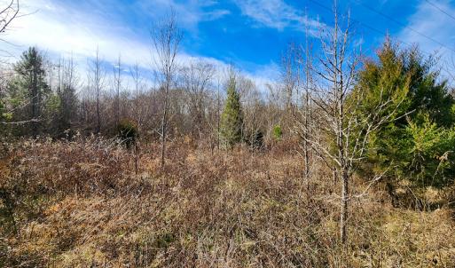 Photo #9 of SOLD property in Off Azalea Lane , Danville, VA 33.0 acres